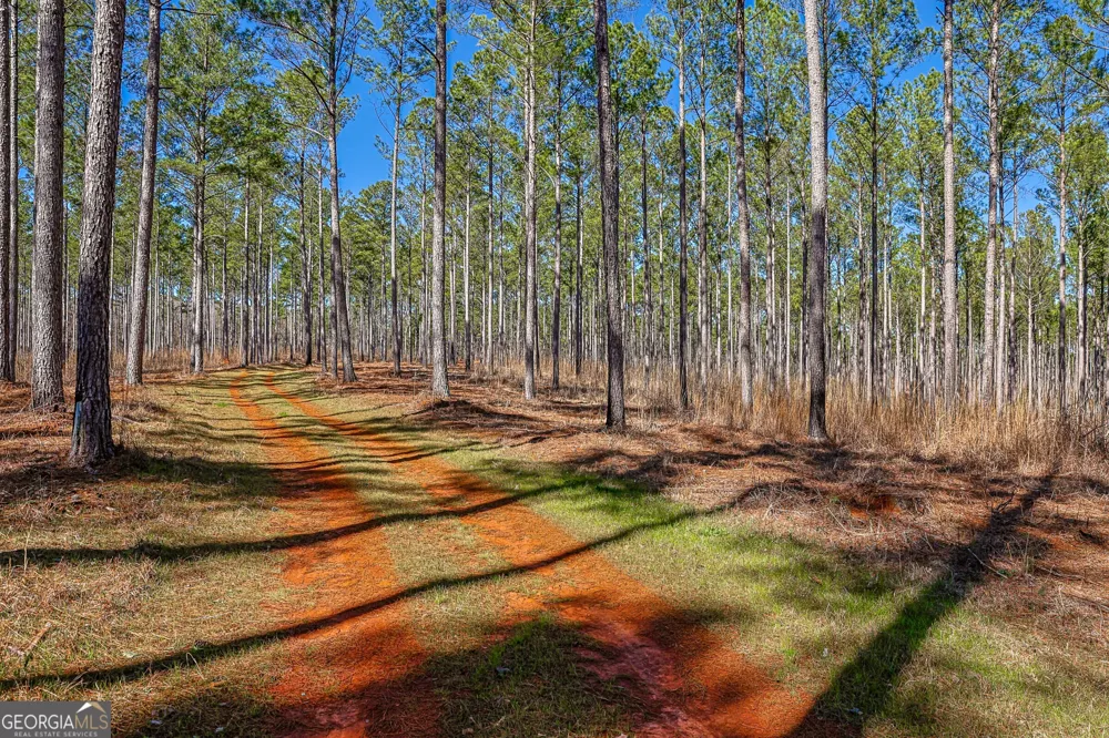 T1-2 Old Zebulon RD Forsyth, GA 31029