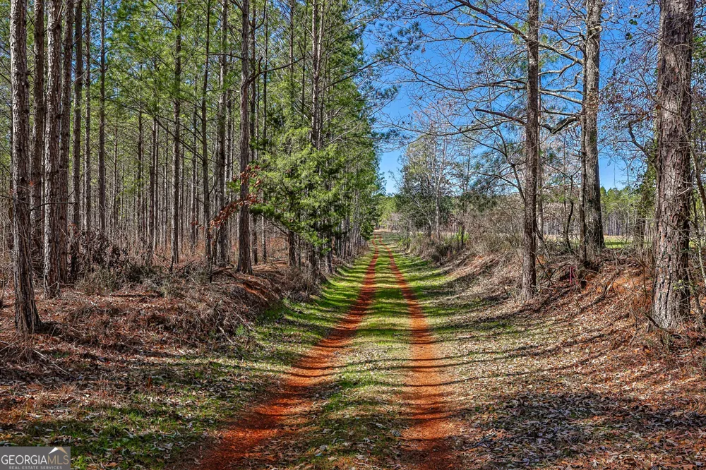 T1-2 Old Zebulon RD Forsyth, GA 31029