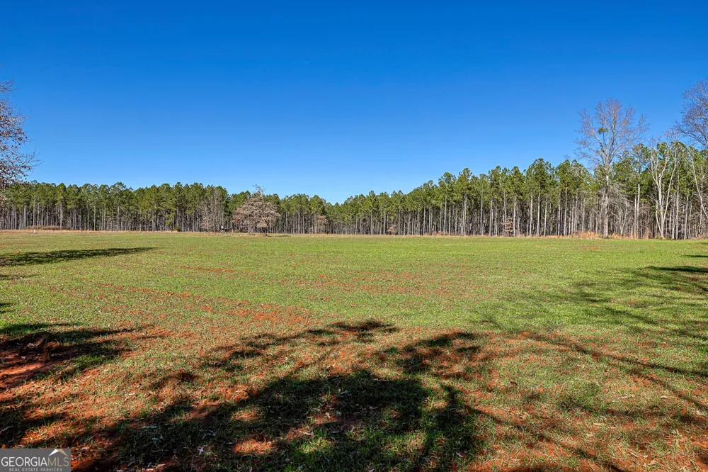T1-2 Old Zebulon RD Forsyth, GA 31029