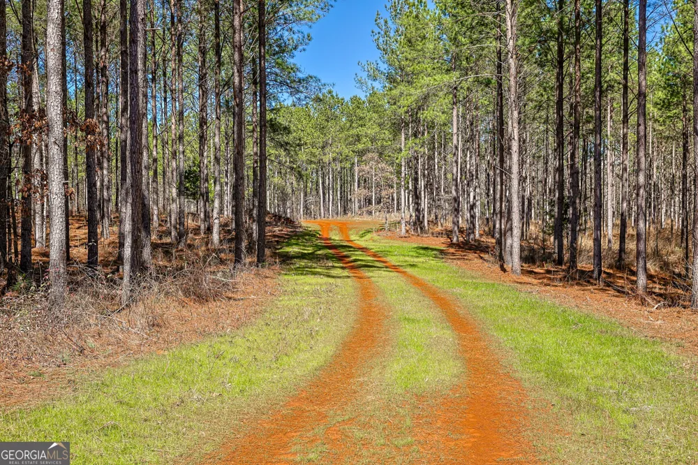 T1-2 Old Zebulon RD Forsyth, GA 31029