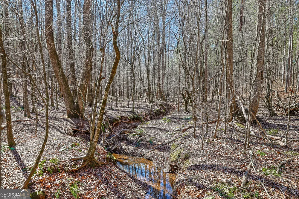 T1-2 Old Zebulon RD Forsyth, GA 31029