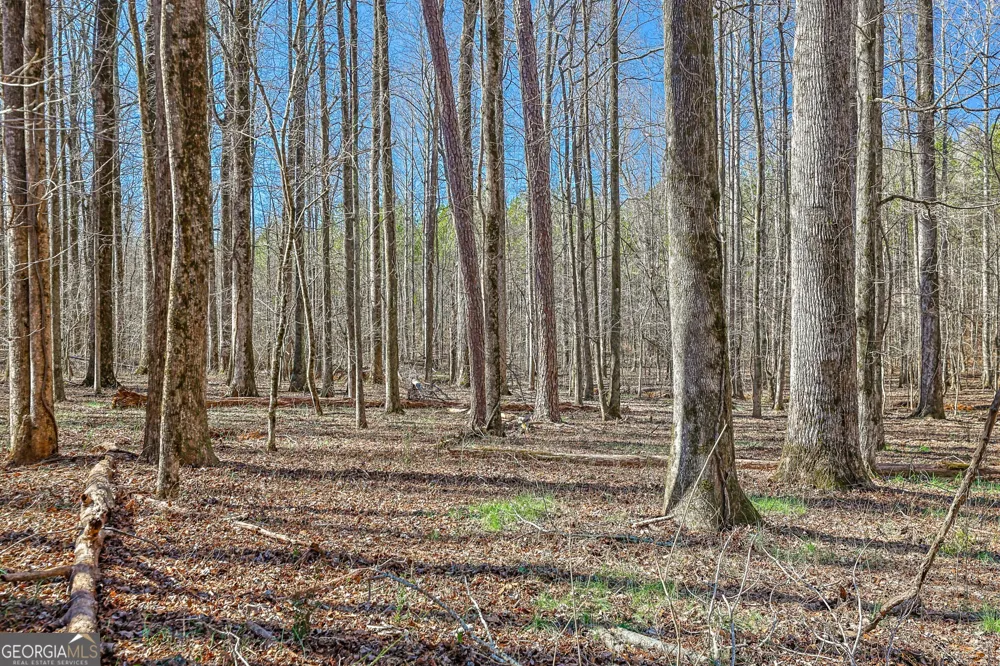 T1-2 Old Zebulon RD Forsyth, GA 31029