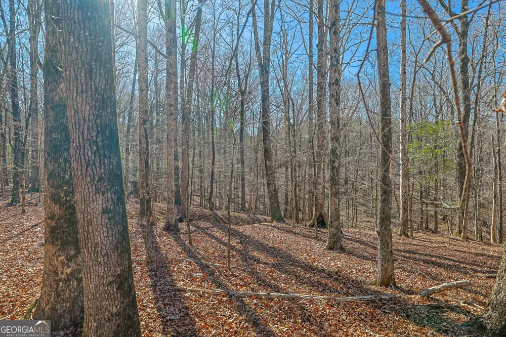 T1-2 Old Zebulon RD Forsyth, GA 31029