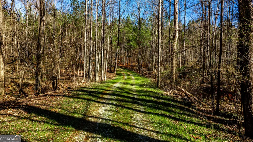 T1-2 Old Zebulon RD Forsyth, GA 31029