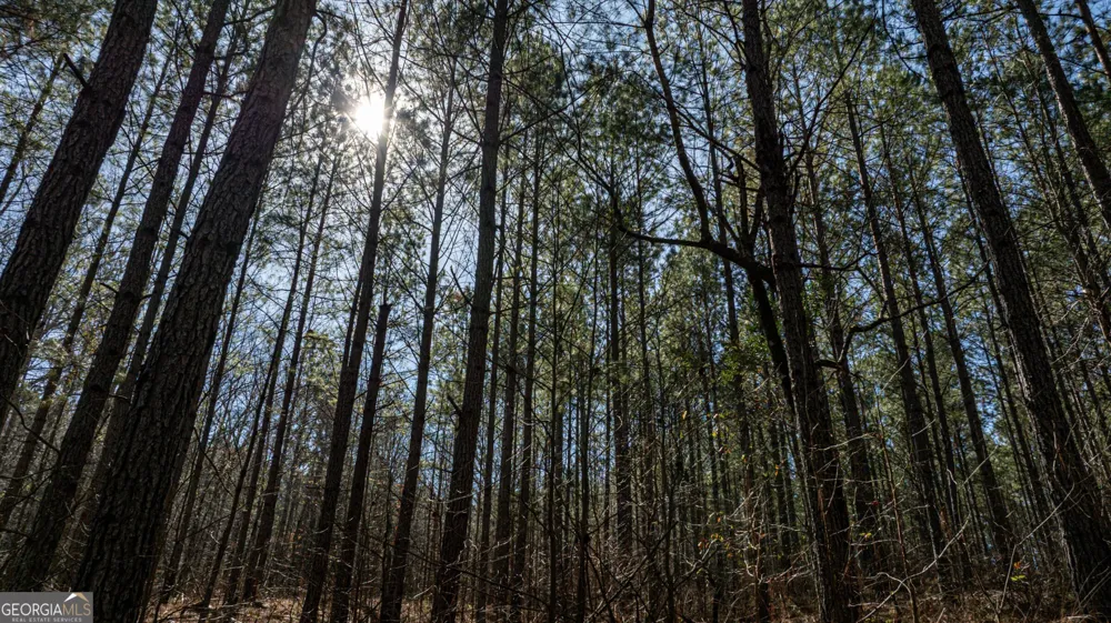 T1-2 Old Zebulon RD Forsyth, GA 31029