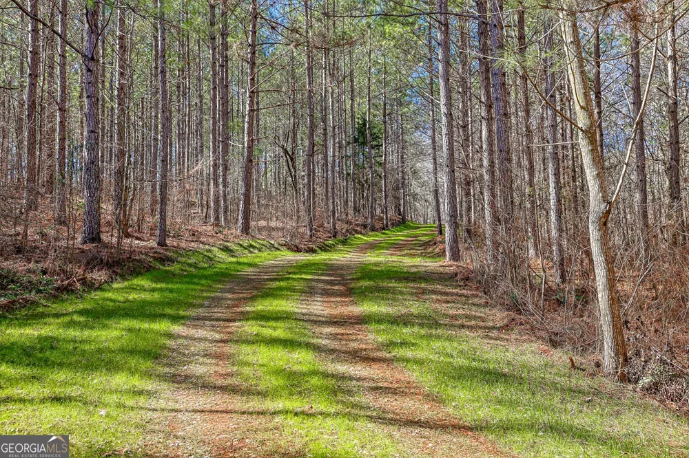 T1-2 Old Zebulon RD Forsyth, GA 31029