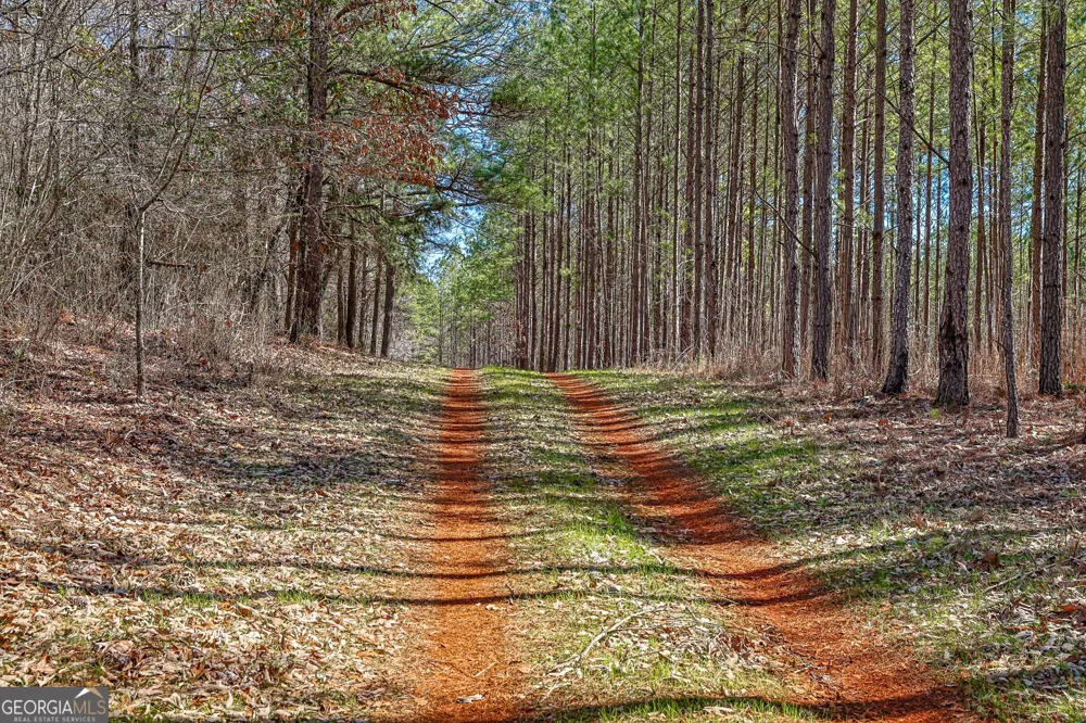 T1-2 Old Zebulon RD Forsyth, GA 31029