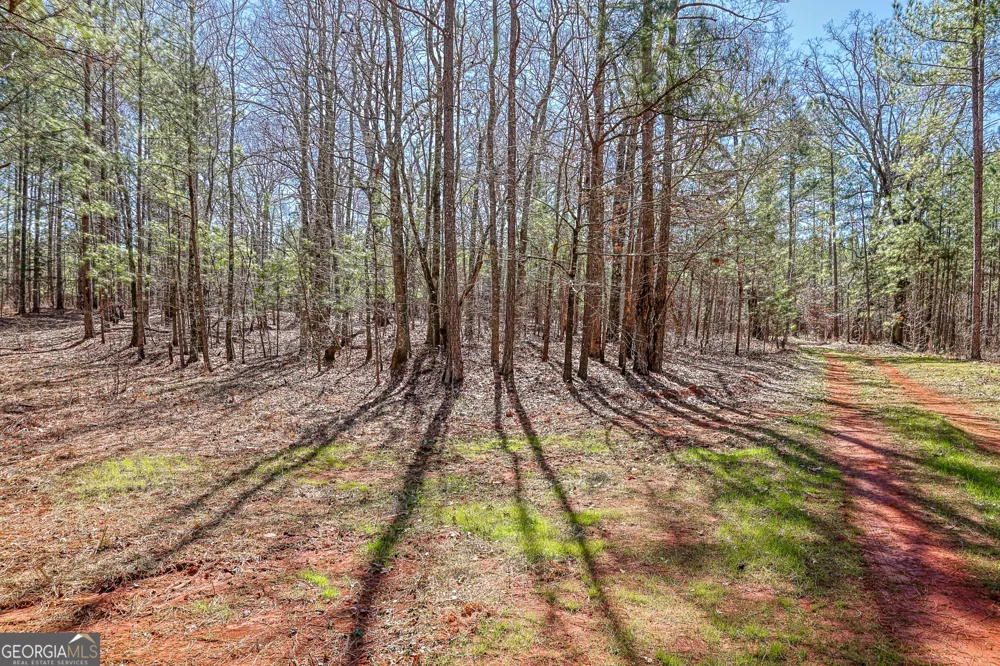 T1-2 Old Zebulon RD Forsyth, GA 31029