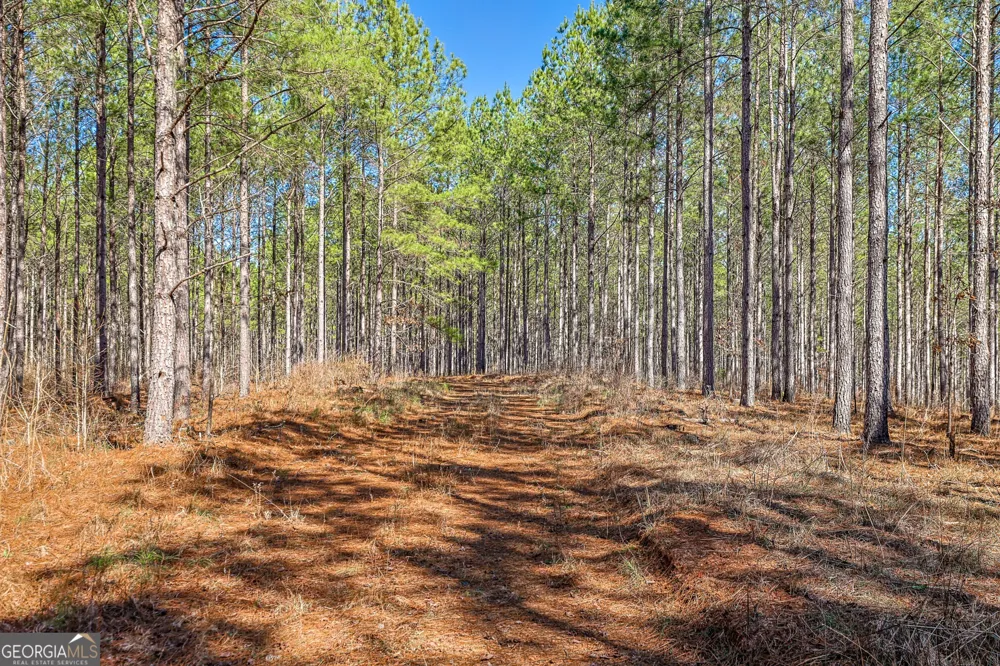 T1-2 Old Zebulon RD Forsyth, GA 31029