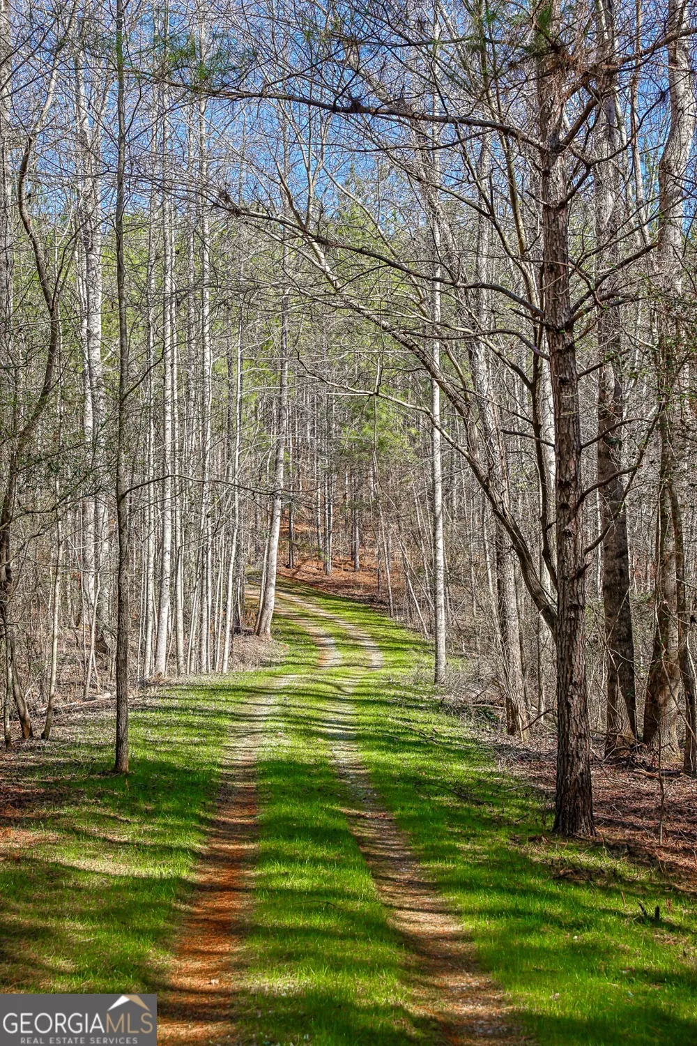 T1-2 Old Zebulon RD Forsyth, GA 31029