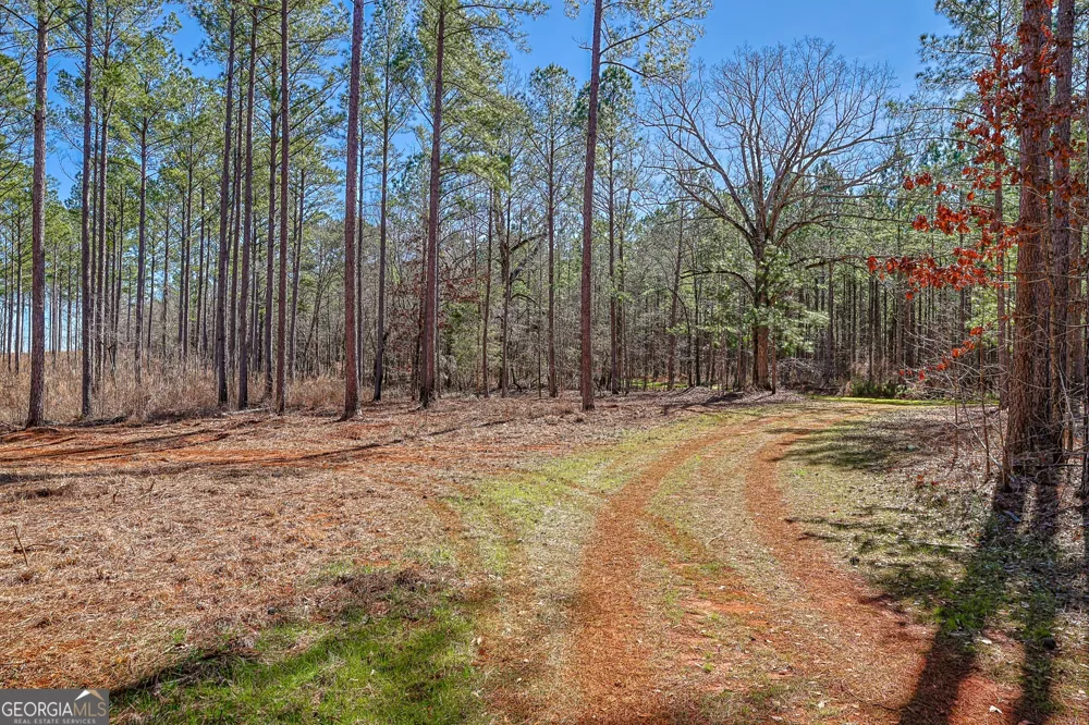 T1-2 Old Zebulon RD Forsyth, GA 31029