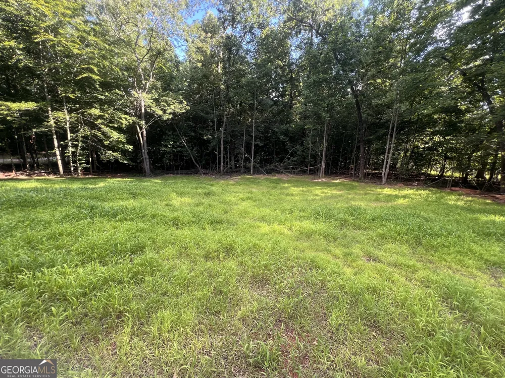 238 Signing Tree TRL Clarkesville, GA 30523