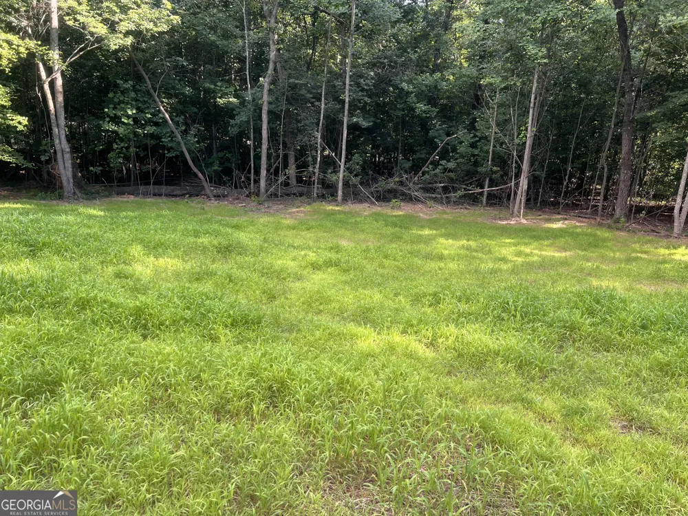 238 Signing Tree TRL Clarkesville, GA 30523