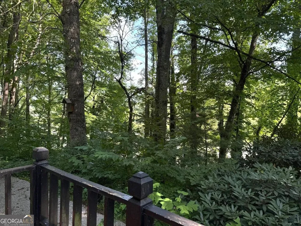 398 Taylors Chapel RD Rabun Gap, GA 30568