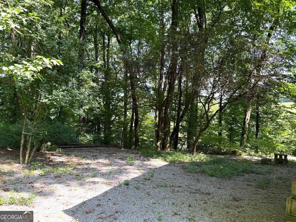 398 Taylors Chapel RD Rabun Gap, GA 30568