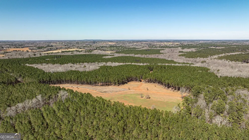 T1 Old Zebulon RD Forsyth, GA 31029