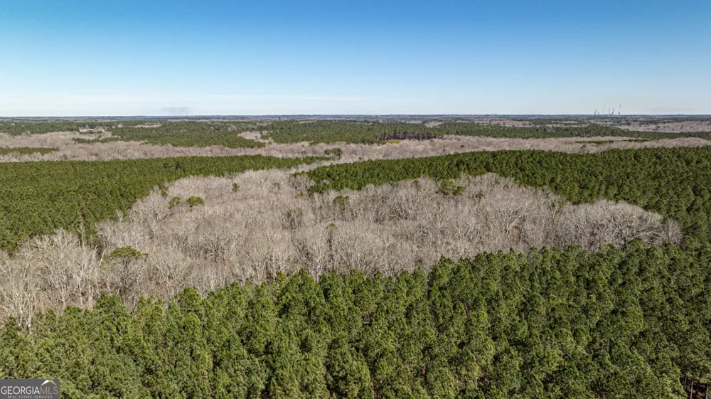 T1 Old Zebulon RD Forsyth, GA 31029
