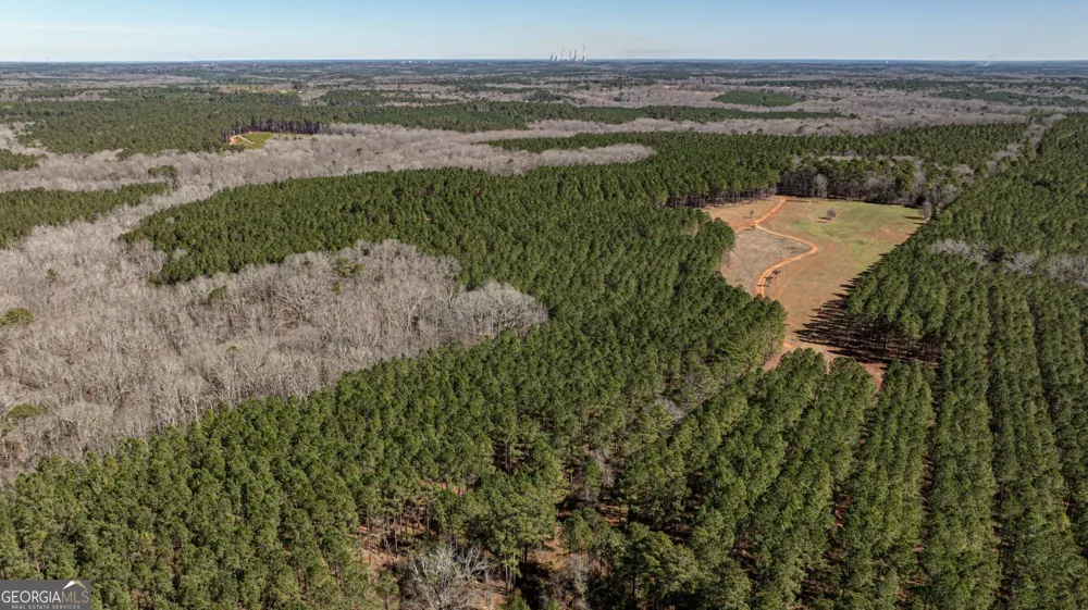 T1 Old Zebulon RD Forsyth, GA 31029