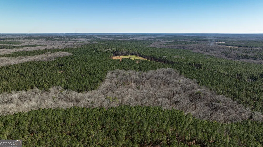 T1 Old Zebulon RD Forsyth, GA 31029