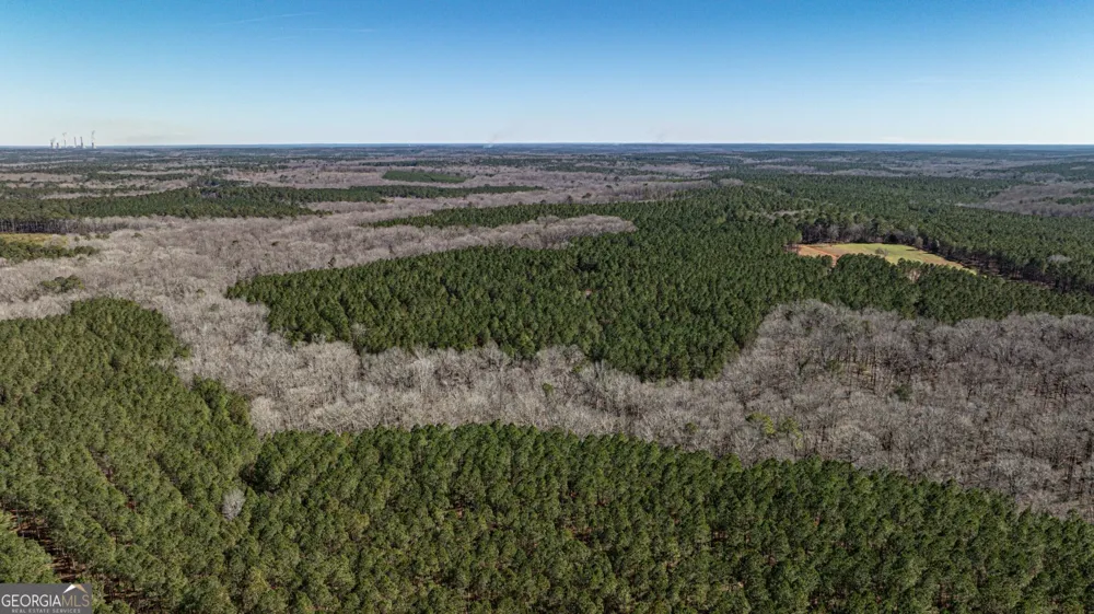 T1 Old Zebulon RD Forsyth, GA 31029