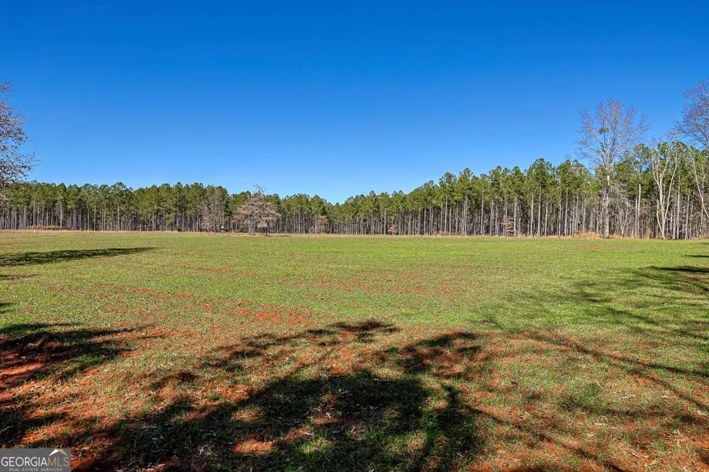T1 Old Zebulon RD Forsyth, GA 31029
