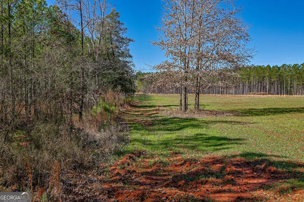 T1 Old Zebulon RD Forsyth, GA 31029