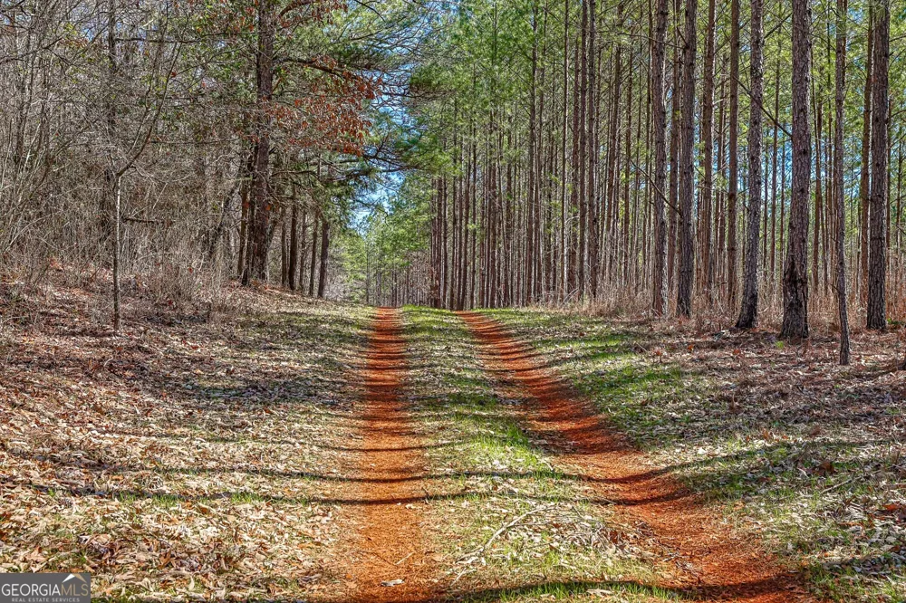 T1 Old Zebulon RD Forsyth, GA 31029