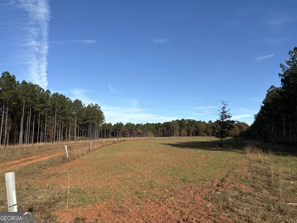 T1 Old Zebulon RD Forsyth, GA 31029