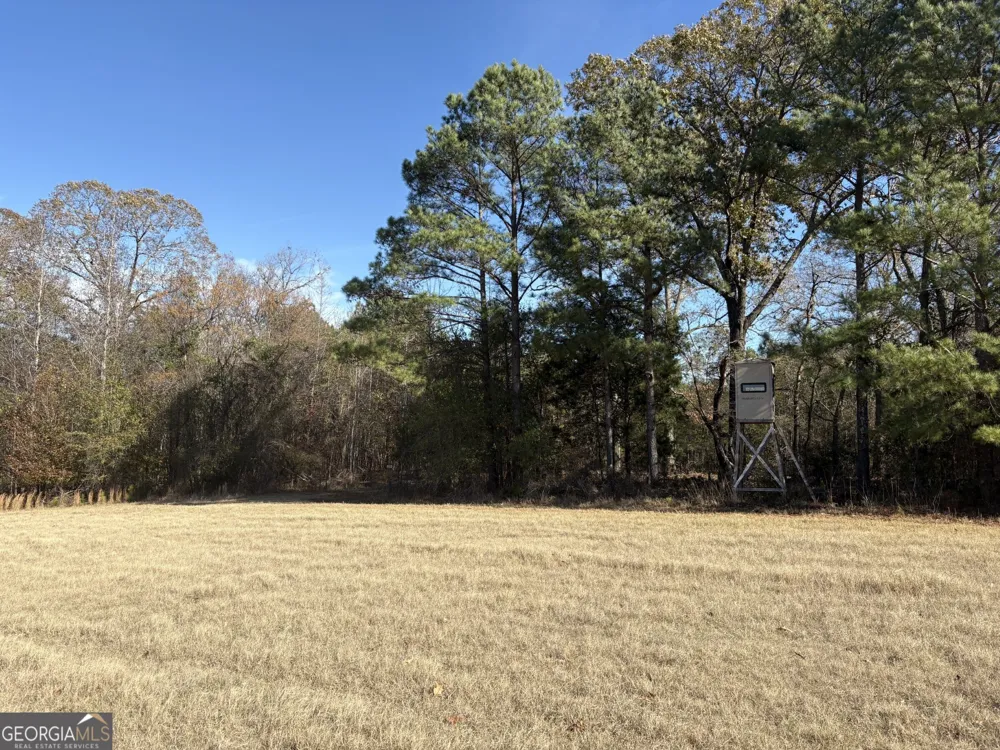 T1 Old Zebulon RD Forsyth, GA 31029