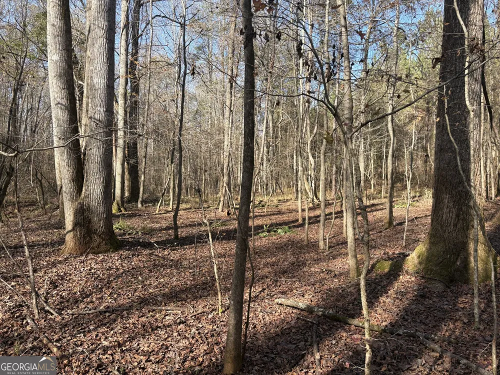 T1 Old Zebulon RD Forsyth, GA 31029