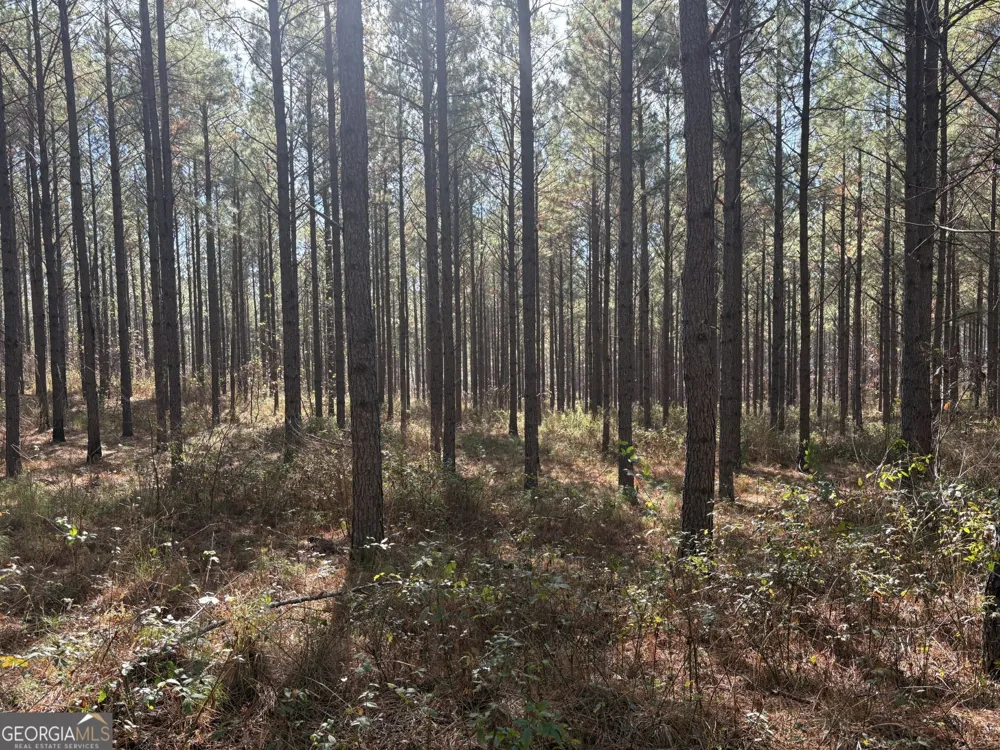 T1 Old Zebulon RD Forsyth, GA 31029