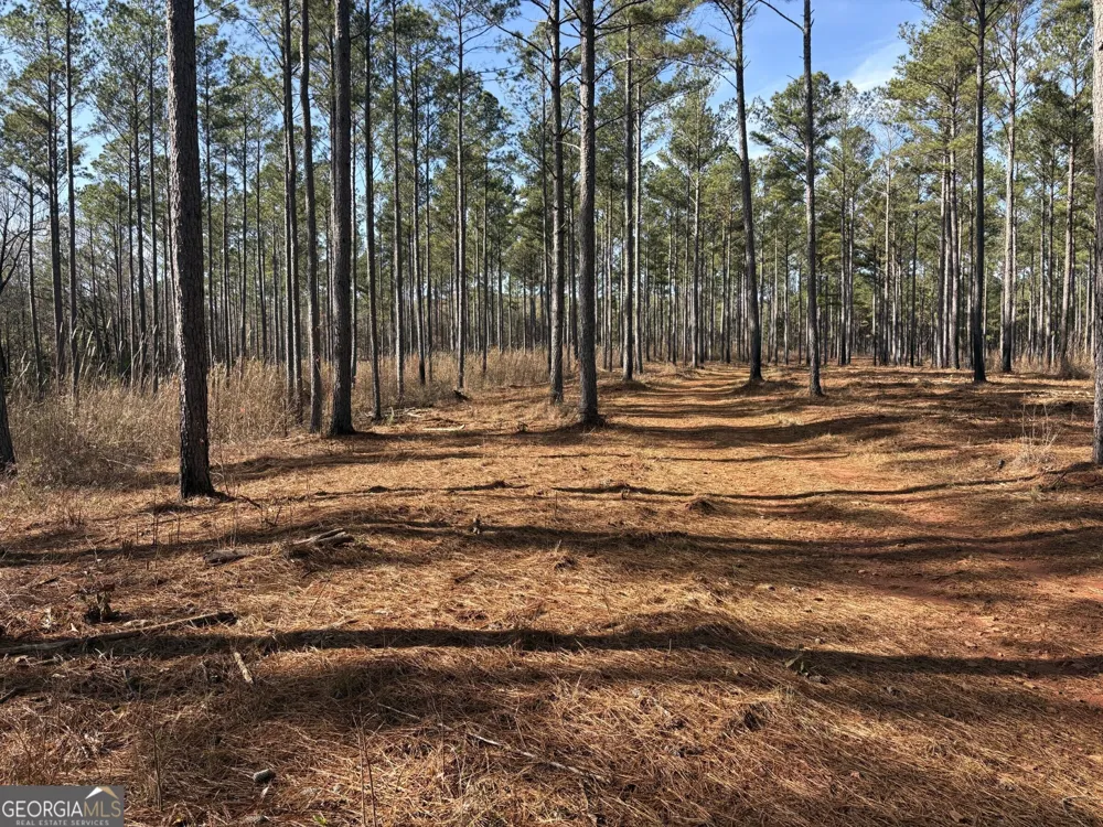 T1 Old Zebulon RD Forsyth, GA 31029