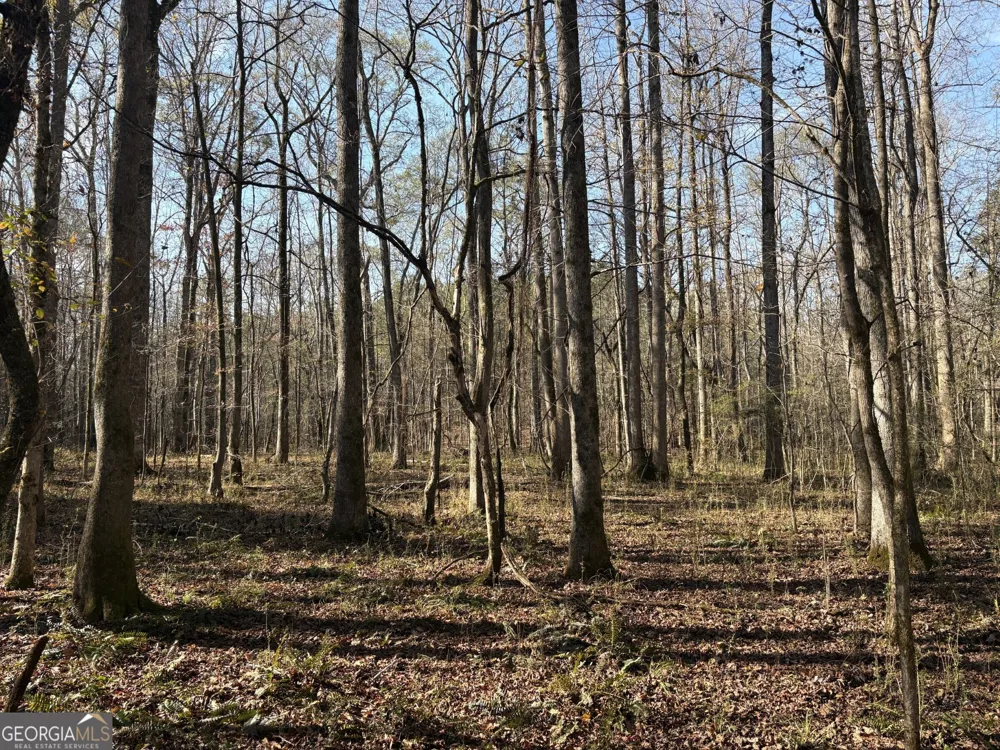 T1 Old Zebulon RD Forsyth, GA 31029