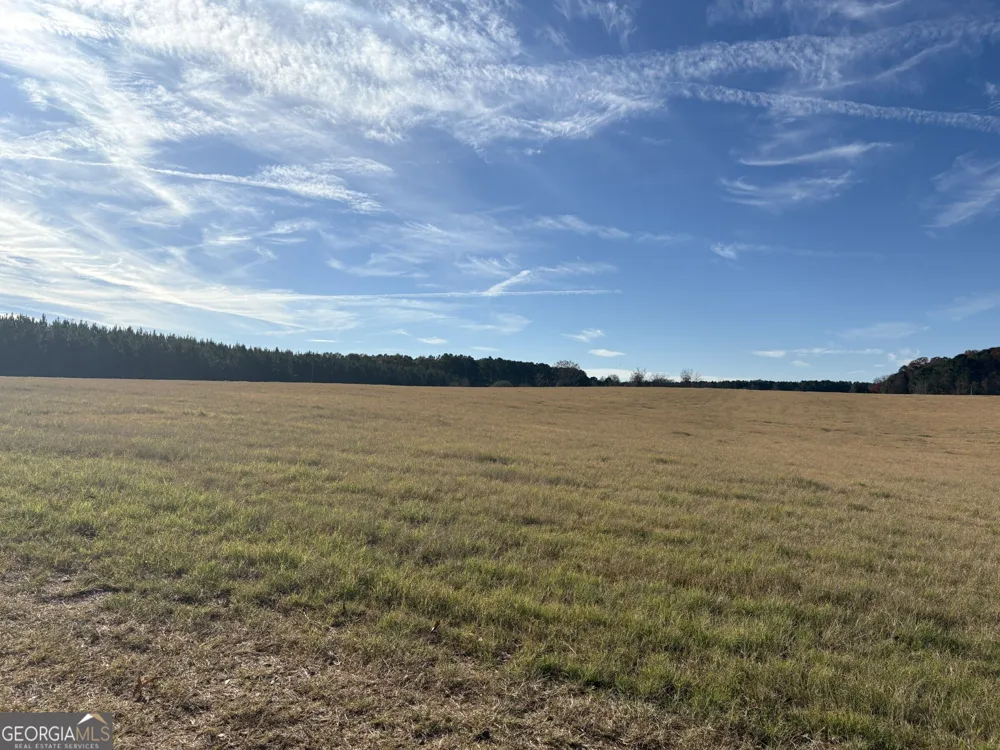 T1 Old Zebulon RD Forsyth, GA 31029