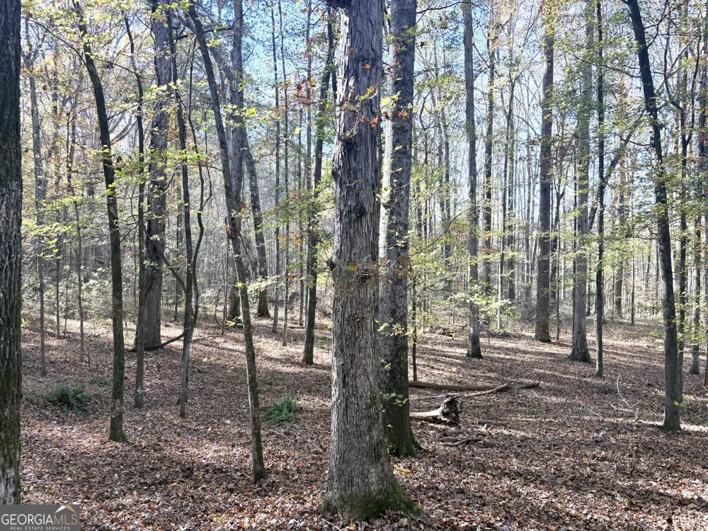 T1 Old Zebulon RD Forsyth, GA 31029