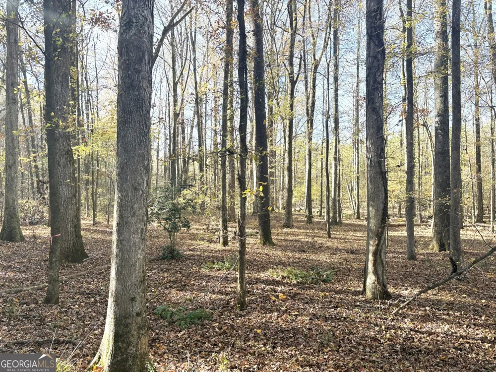 T1 Old Zebulon RD Forsyth, GA 31029