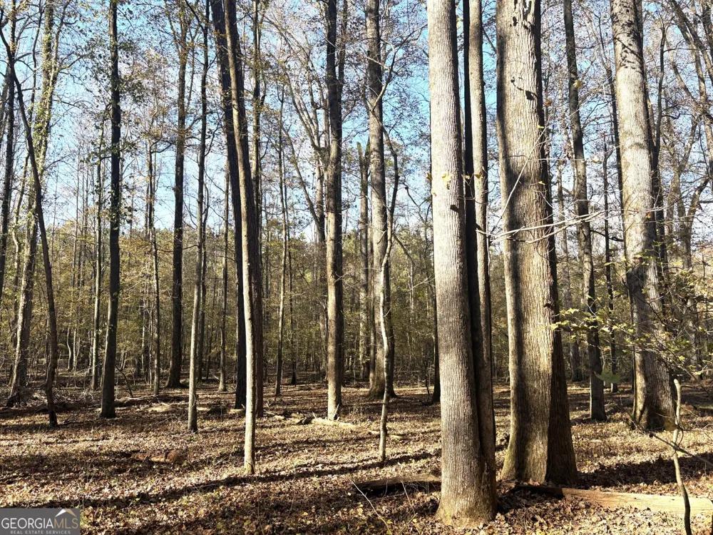 T1 Old Zebulon RD Forsyth, GA 31029