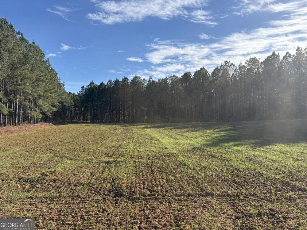 T1 Old Zebulon RD Forsyth, GA 31029