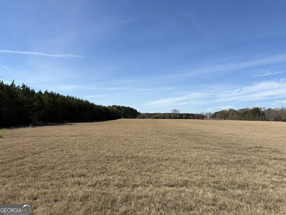 T1 Old Zebulon RD Forsyth, GA 31029