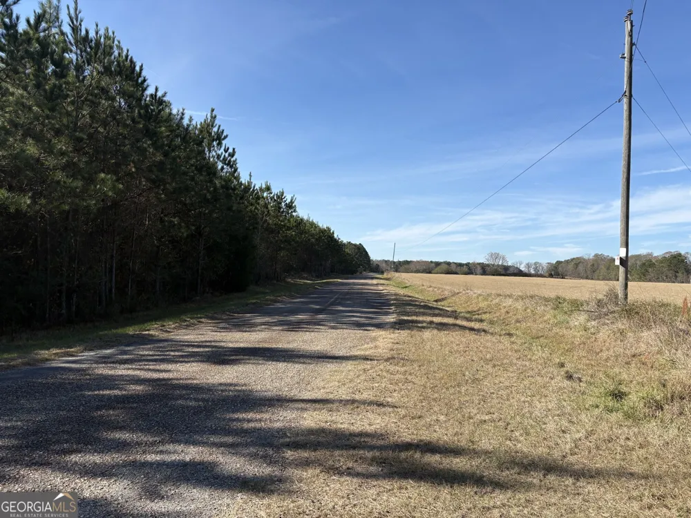 T1 Old Zebulon RD Forsyth, GA 31029