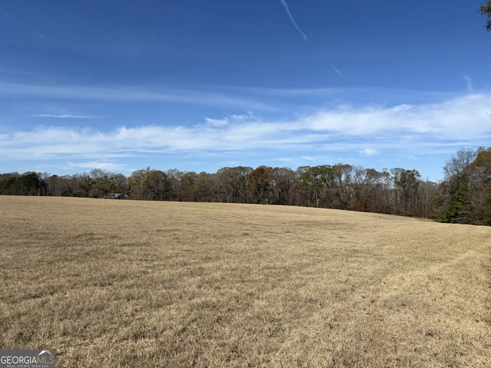 T1 Old Zebulon RD Forsyth, GA 31029