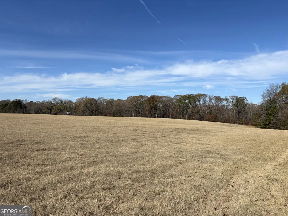 T1 Old Zebulon RD Forsyth, GA 31029