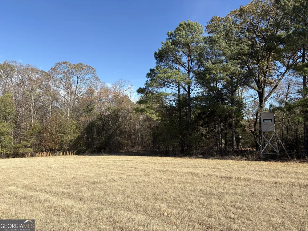 T1 Old Zebulon RD Forsyth, GA 31029