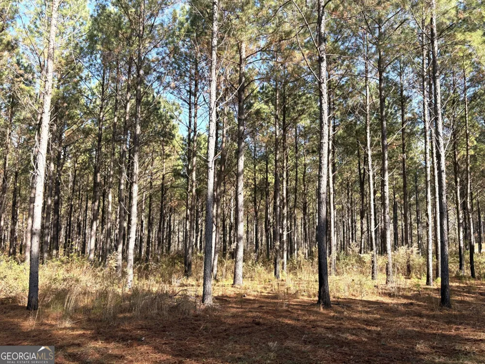 T1 Old Zebulon RD Forsyth, GA 31029