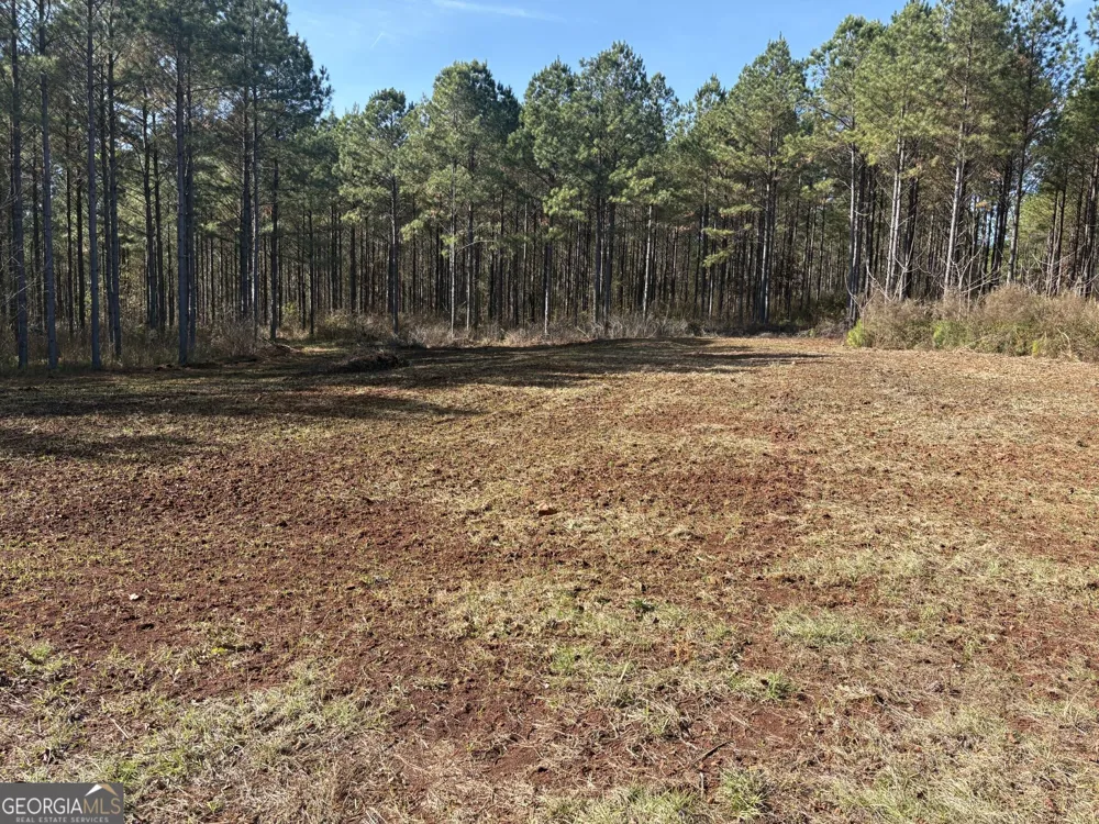 T1 Old Zebulon RD Forsyth, GA 31029