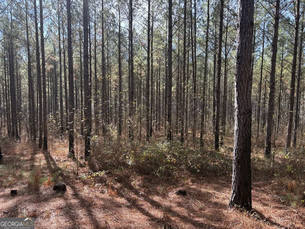T1 Old Zebulon RD Forsyth, GA 31029