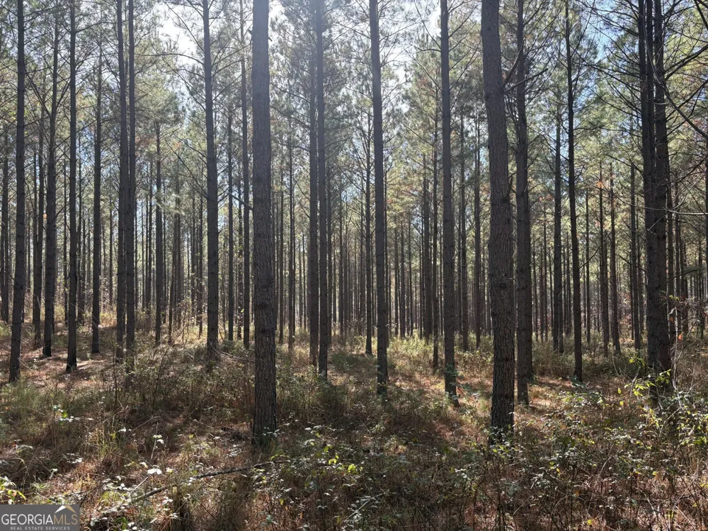 T1 Old Zebulon RD Forsyth, GA 31029