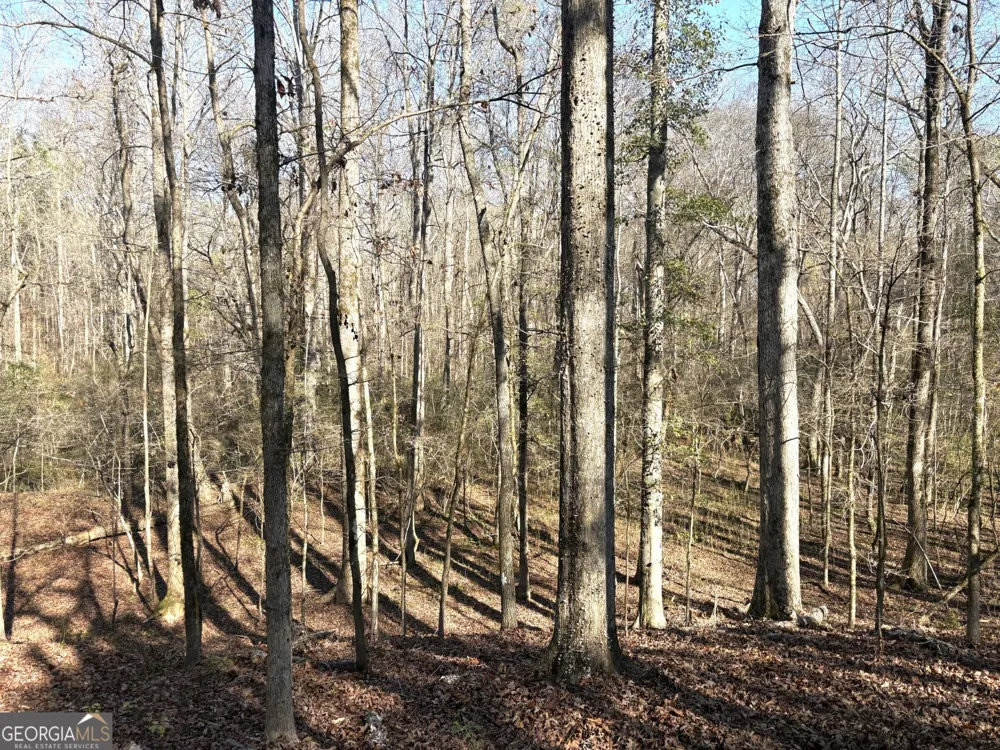 T1 Old Zebulon RD Forsyth, GA 31029