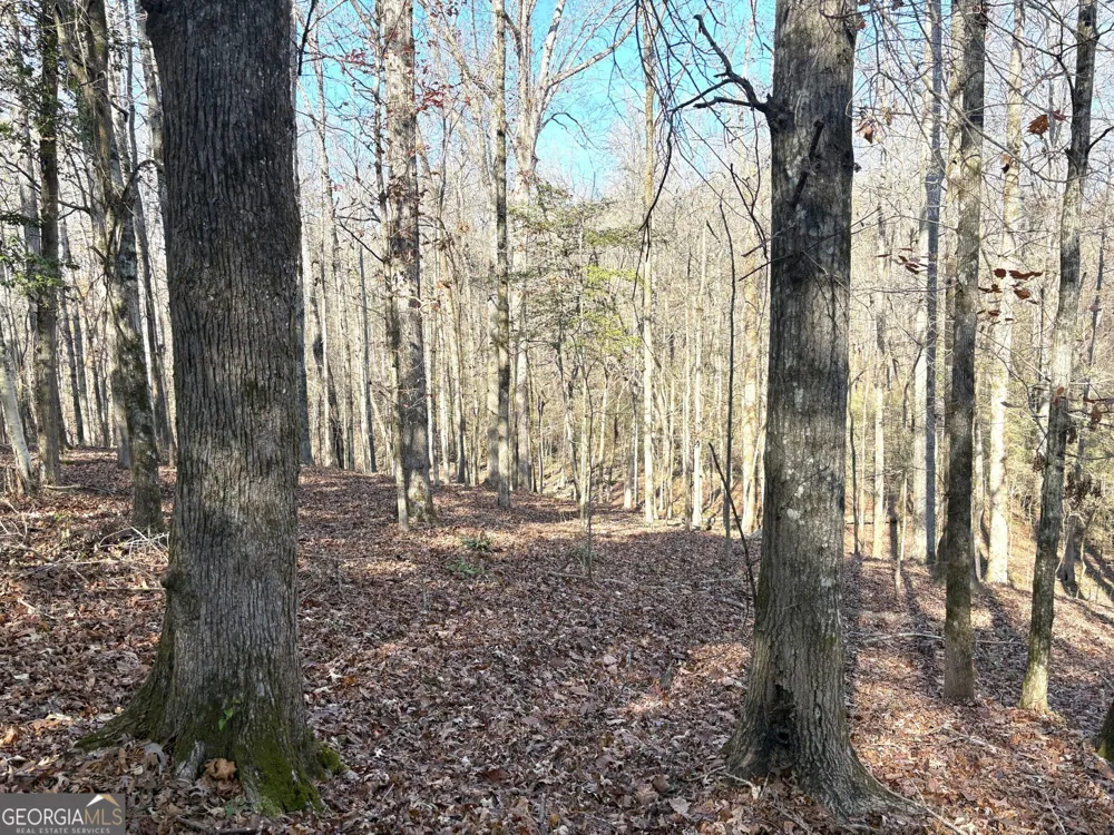 T1 Old Zebulon RD Forsyth, GA 31029
