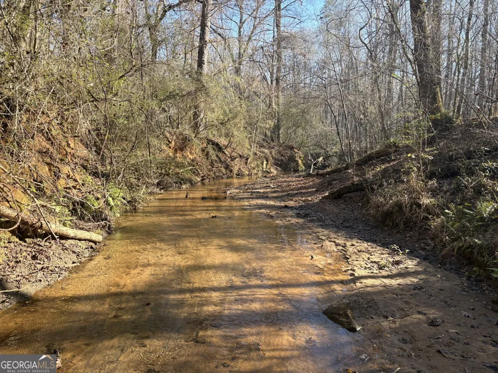 T1 Old Zebulon RD Forsyth, GA 31029